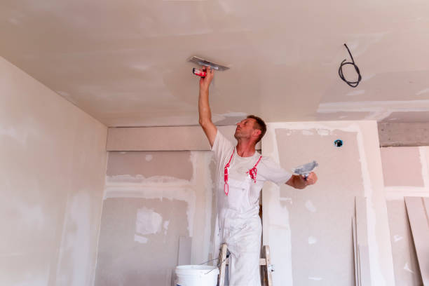 Best Drywall Removal and Disposal  in Whitehouse, TX